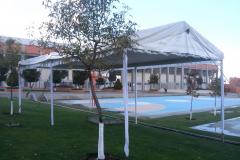 carpas-toluca-00644