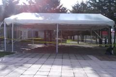 carpas-toluca-083