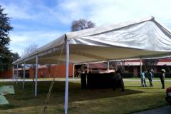 carpas-toluca-286